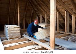 Best Insulation for New Construction  in Rockford, IL