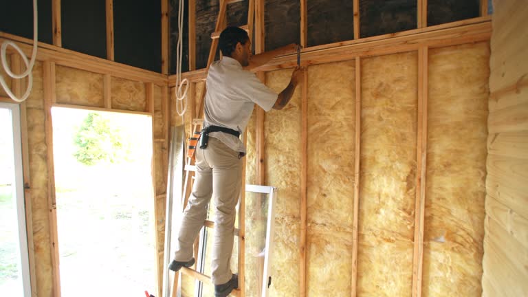 Best Basement Insulation  in Rockford, IL