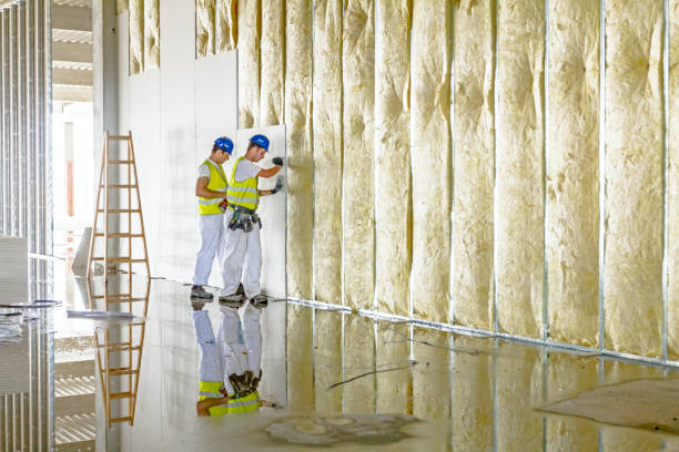 Best Insulation Air Sealing  in Rockford, IL